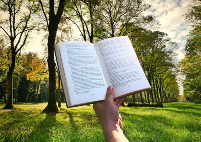 美容整形情報navi